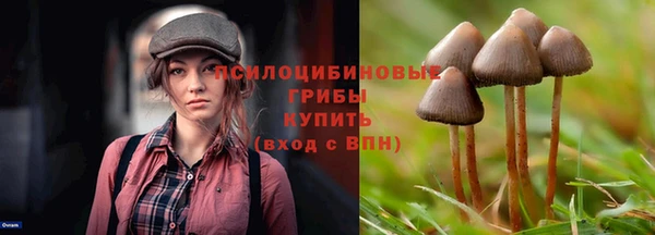 герыч Аркадак
