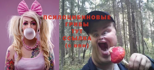 винт Армянск