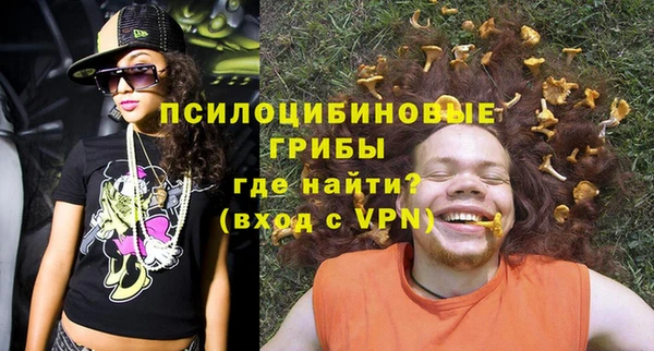 винт Армянск